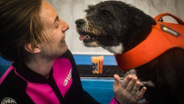 Hydrotherapy dog and vet